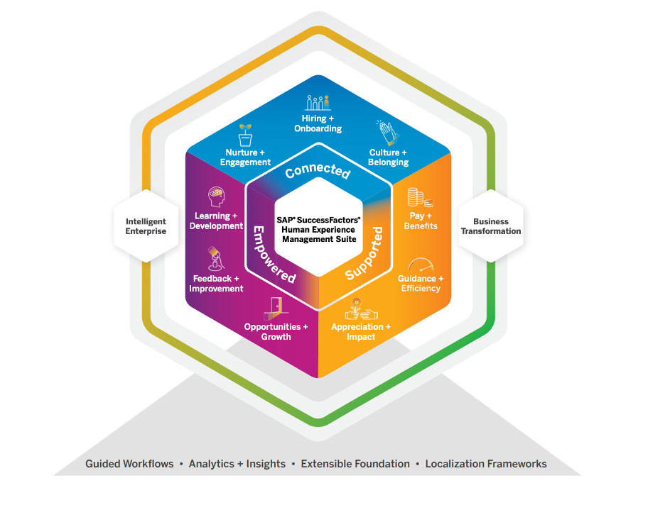 SAP SuccessFactors - RL Technologies